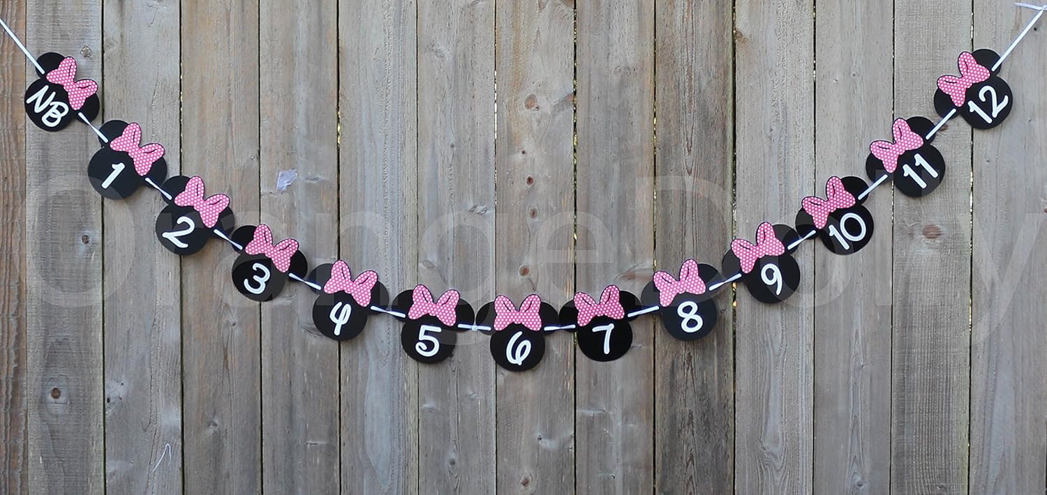 Minnie Mouse 12 Months Photo Banner with Mickey Party Signs